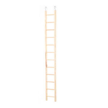 Bird Ladder 22783